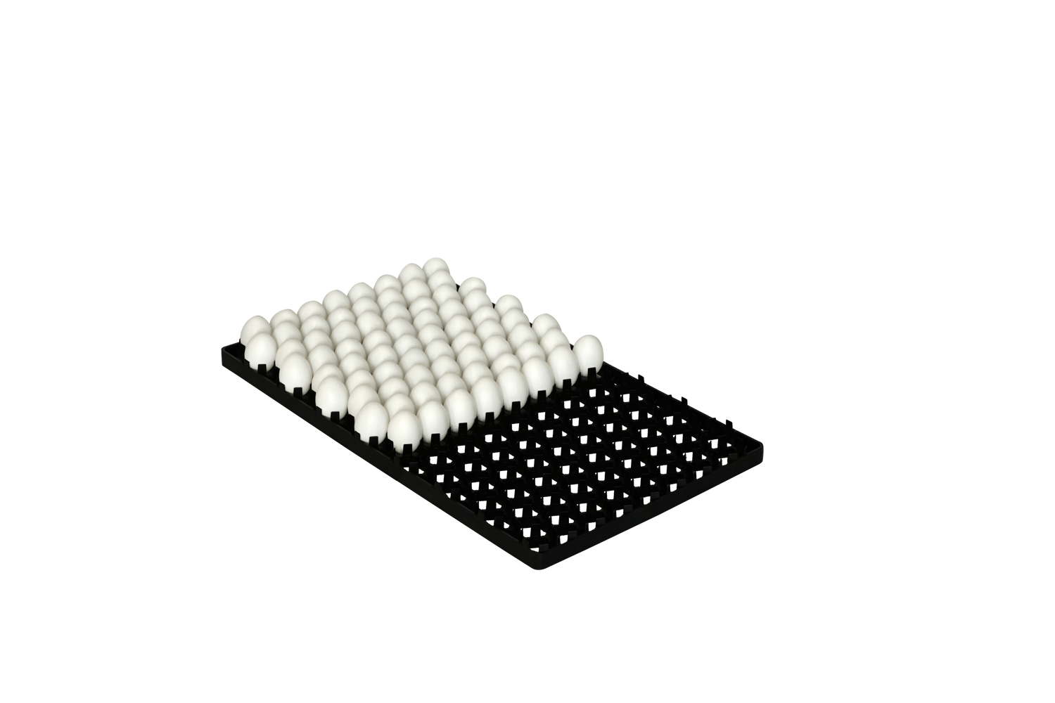 Инкубационный лоток для яиц на 150 штук 231644 фото