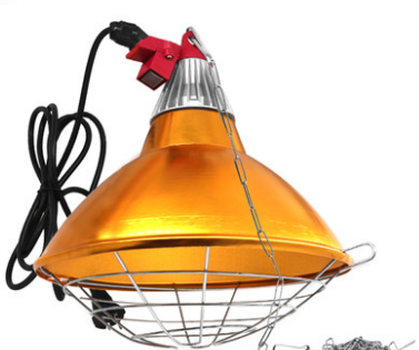 Защитный плафон для лампы на цепочке и выключателем №3 63136 фото