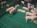 Пластиковые решетки 600х400 мм под свиноматок, свиней на откорме - фото 4
