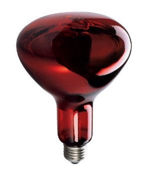 Інфрачервона лампа 230V, 150W E27/5000h, HELIOS (Польща) 6317 фото