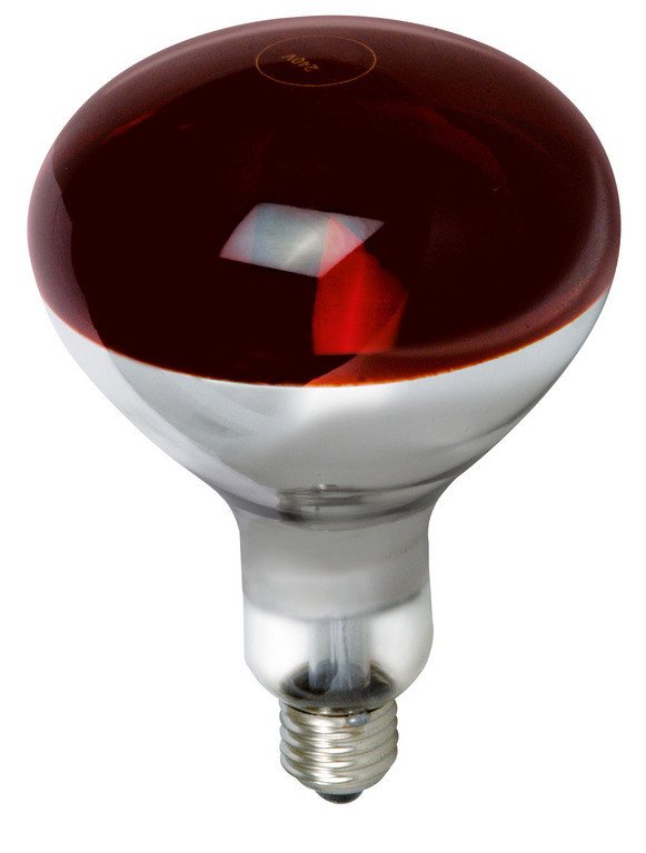 Инфракрасная лампа R125 красная Z 175Вт 6324 фото