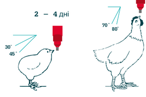 Уровень воды для ниппельных поилок для птицы: важность правильной настройки фото