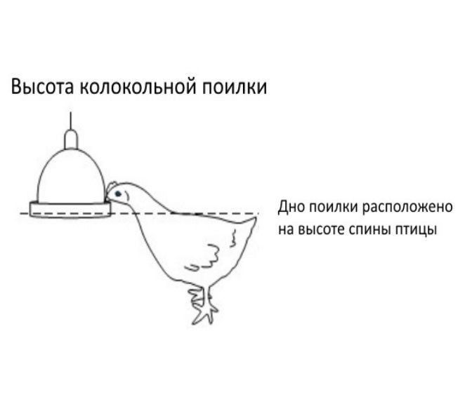 Автоматическая подвесная колокольная поилка для птицы(кур, курчат, цыплят, перепелов, индюков, бройлеров, уток