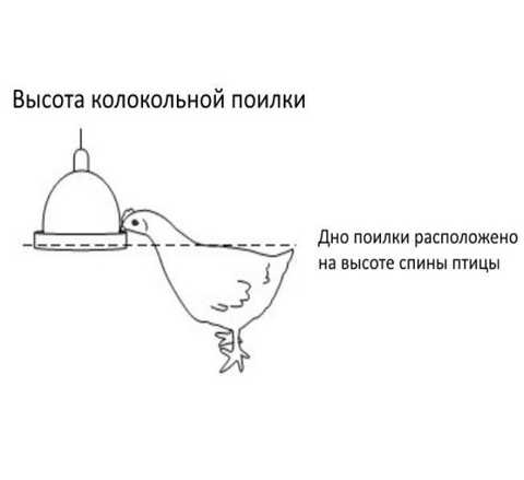 Купить поилки для клеток кур несушек в интернет магазине - Большой фермер