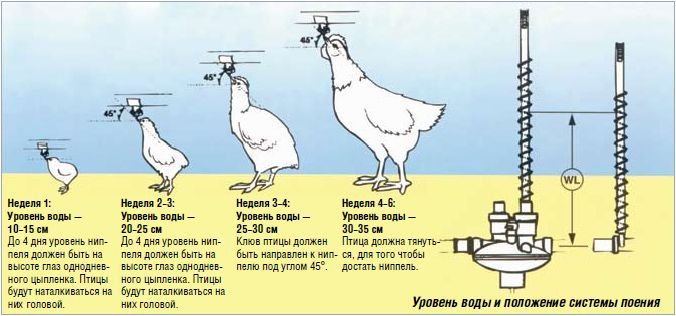 Ниппельная поилка 360° для птиц(кур, курчат, цыплят, перепелов, индюков, бройлеров, уток, гусей).