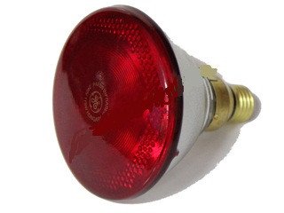 Інфрачервона лампа PAR38 230V, 175W E27/5000h, HELIOS (Польща) 6320 фото