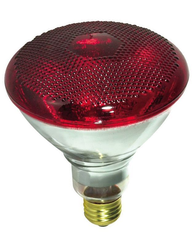 Лампа інфрачервона Lemanso 175W E27 230V 6171 фото