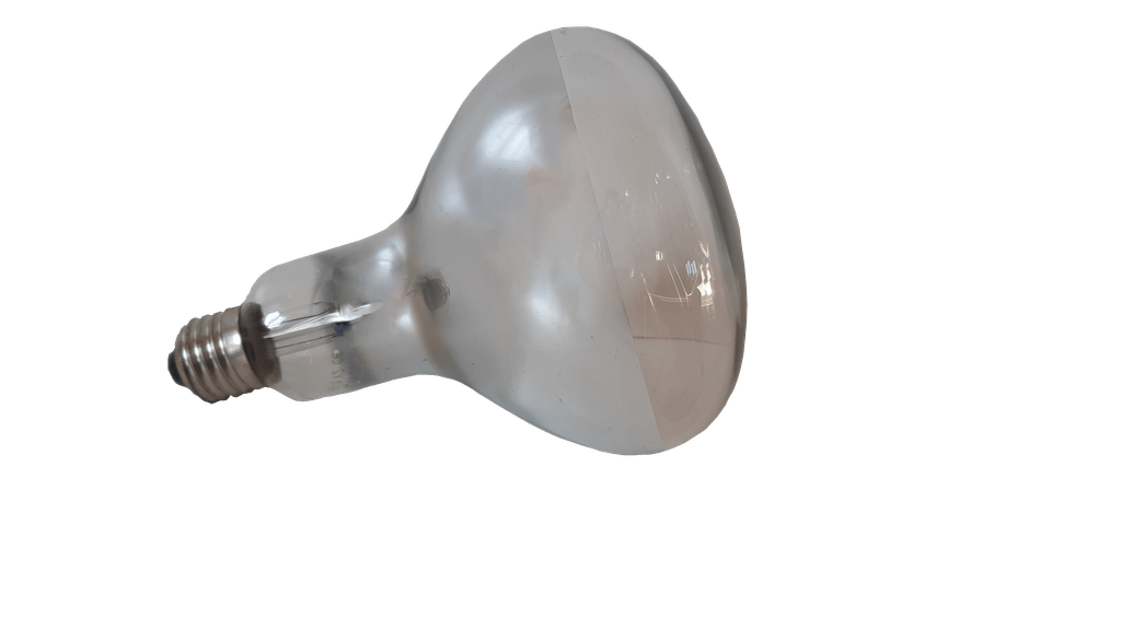 Инфракрасная лампа 230V, 250W E27/5000h, HELIOS (Польша) белая 63140 фото