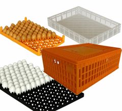 Обладнання для яєць та транспортні клітки