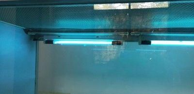 Кварцова ультрафіолетова бактерицидна лампа W 8 63144 фото