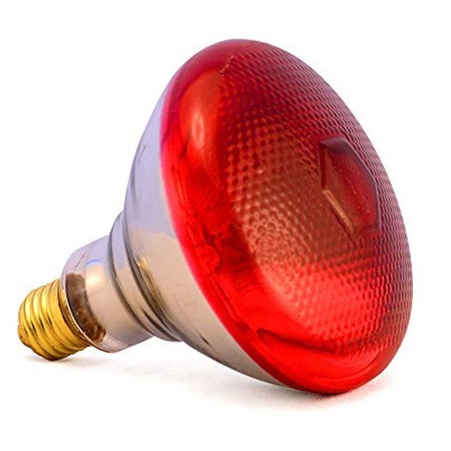 Інфрачервона лампа червона 175 Вт Smart Heat для птахів (курчат, курчат, курей, перепелів, бройлера) і тварин 6314622 фото