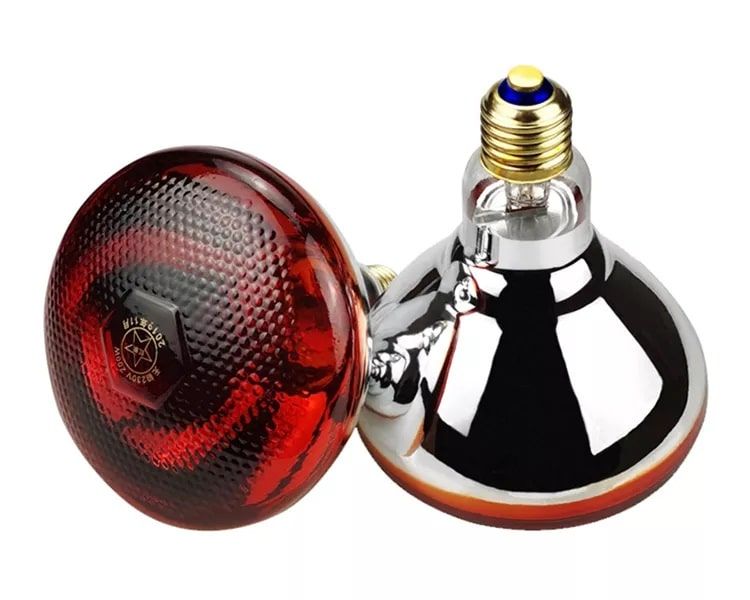 Інфрачервона лампа червона 250 Вт Smart Heat для птахів (курчат, курчат, курей, перепелів, бройлера) і тварин 6314623 фото