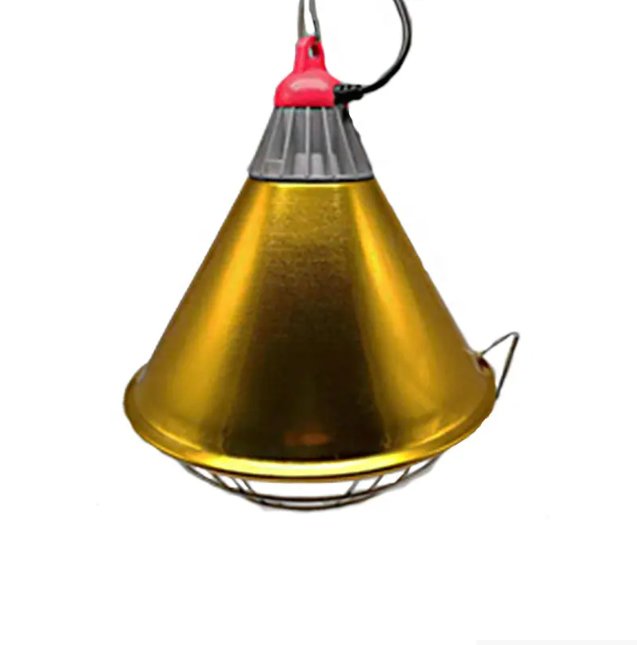 Защитный плафон для лампы на цепочке без выключателя №4 6186 фото