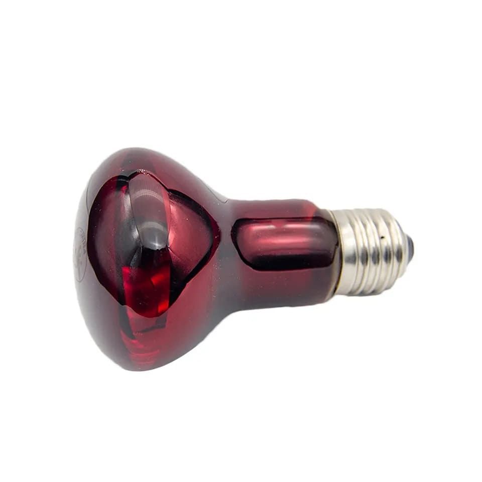 Інфрачервона лампа червона 60 Вт Smart Heat для рептилій 326443 фото