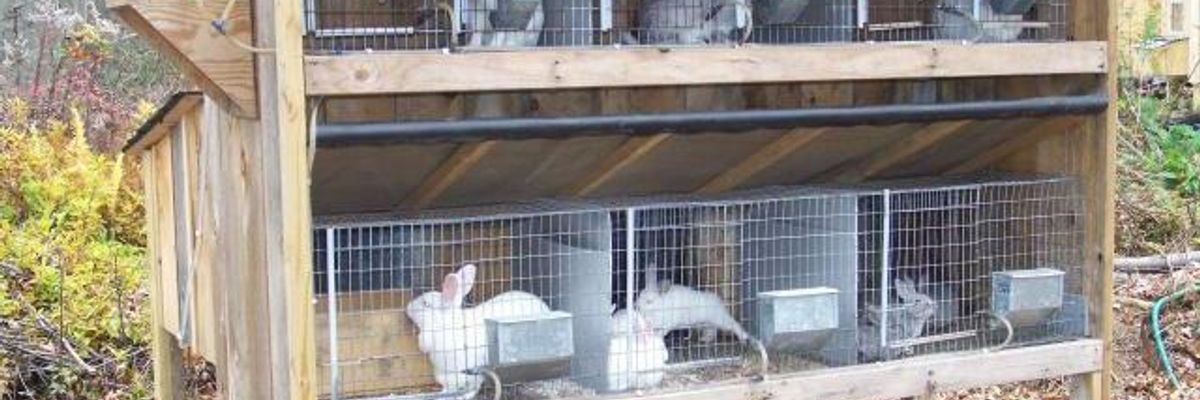 Купить готовые недорогие кормушки на клетки кроликов интернет магазин - Большой фермер