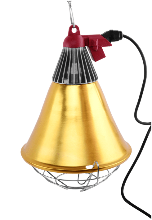 Защитный плафон для лампы на цепочке и выключателем №2