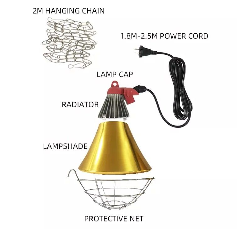 Защитный плафон для лампы на цепочке и выключателем №2 63107 фото