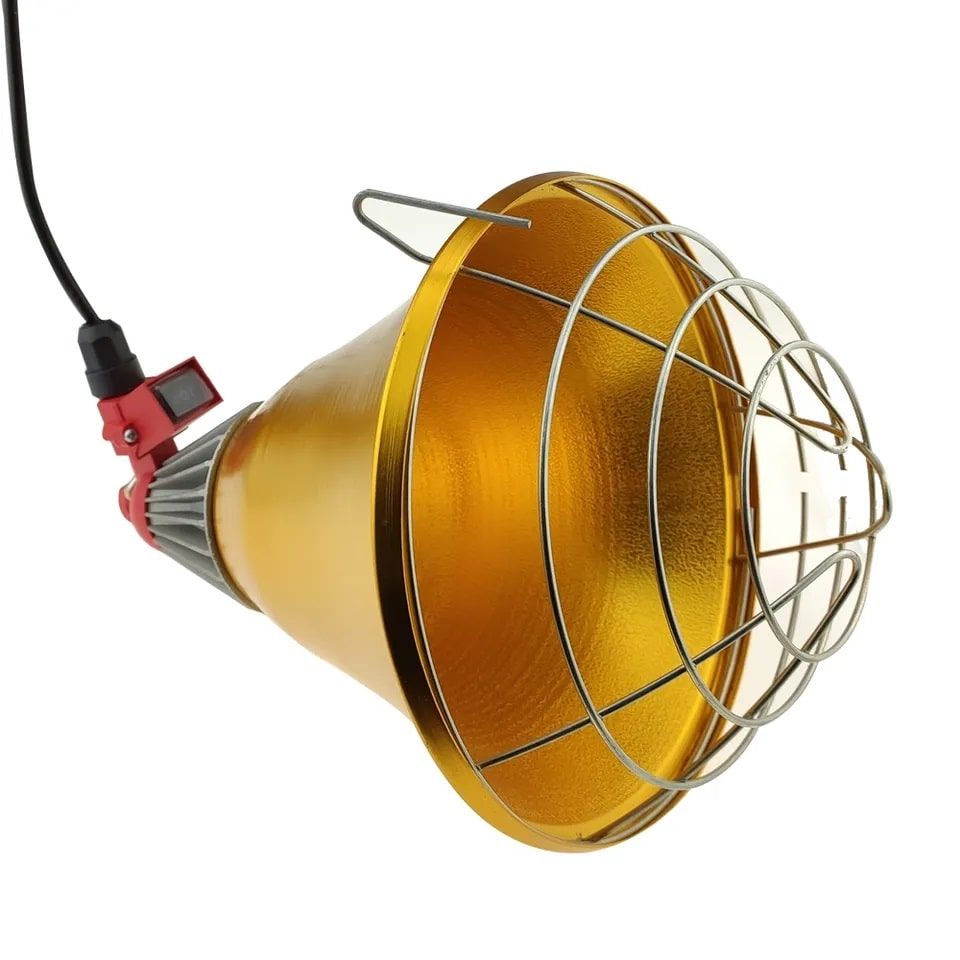 Защитный плафон для лампы на цепочке и выключателем №2 63107 фото