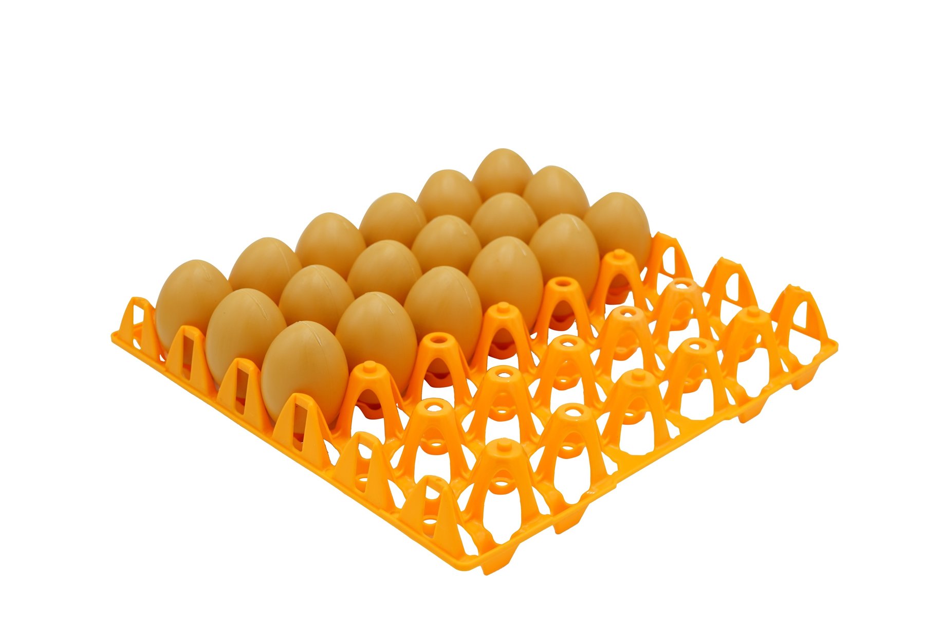 Пластиковий лоток на 30 курячих яєць 646499 фото