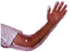 Ветеринарные одноразовые перчатки с длинными рукавами 85 см, 100 шт - фото 4